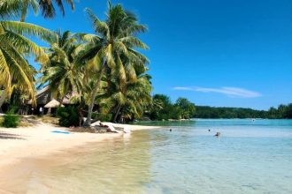 plage paradisiaque en Polynésie avec eaux turquoise et palmiers