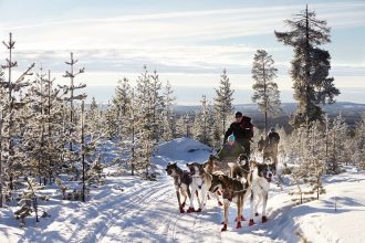 Balade en traîneau à chiens dans un paysage hivernal magnifique